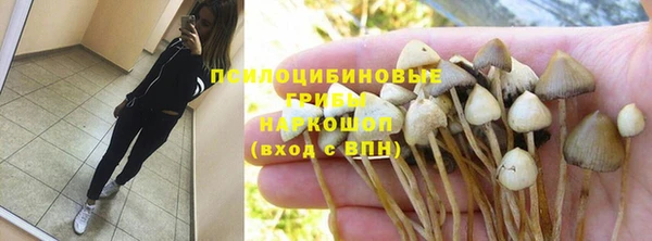 бошки Няндома
