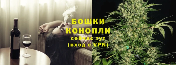 бошки Няндома