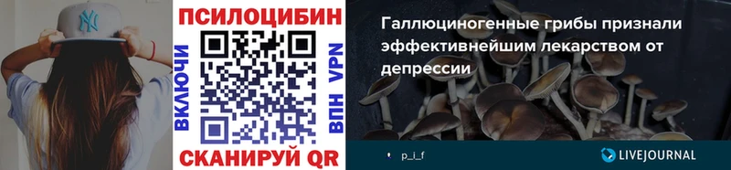 Галлюциногенные грибы Magic Shrooms продажа наркотиков Новочеркасск